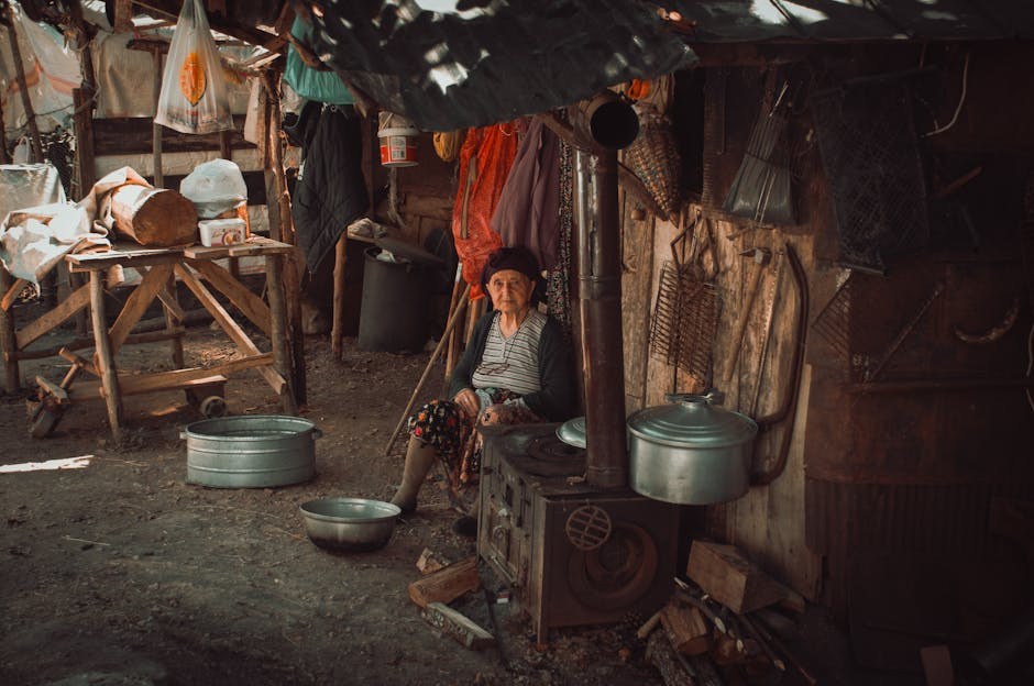 Srčani blok ili provodna usporenost (lijeva grana) kod pasa: simptomi, uzroci i liječenje