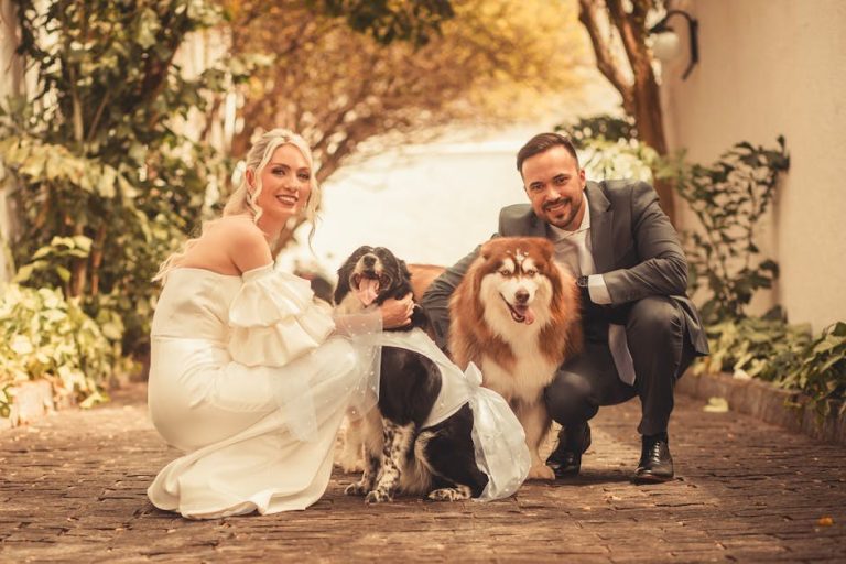 6 načina za uštedu na veterinarskim računima