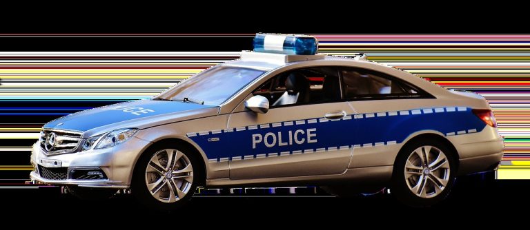 Lažna trudnoća kod pasa: simptomi, uzroci i liječenje