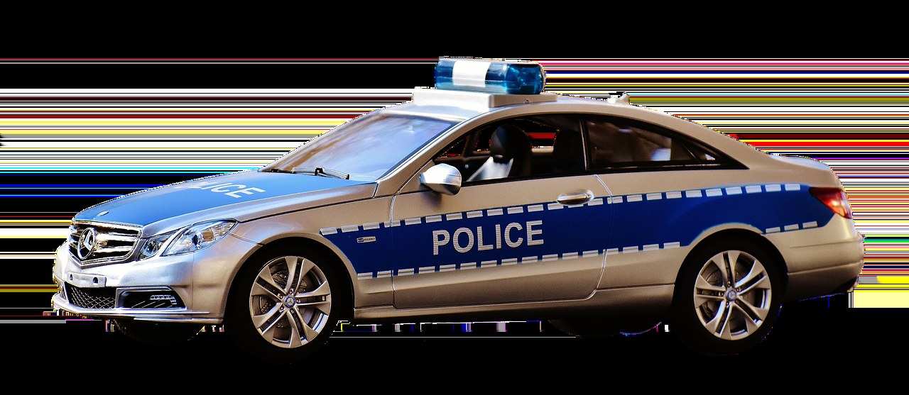 Lažna trudnoća kod pasa: simptomi, uzroci i liječenje