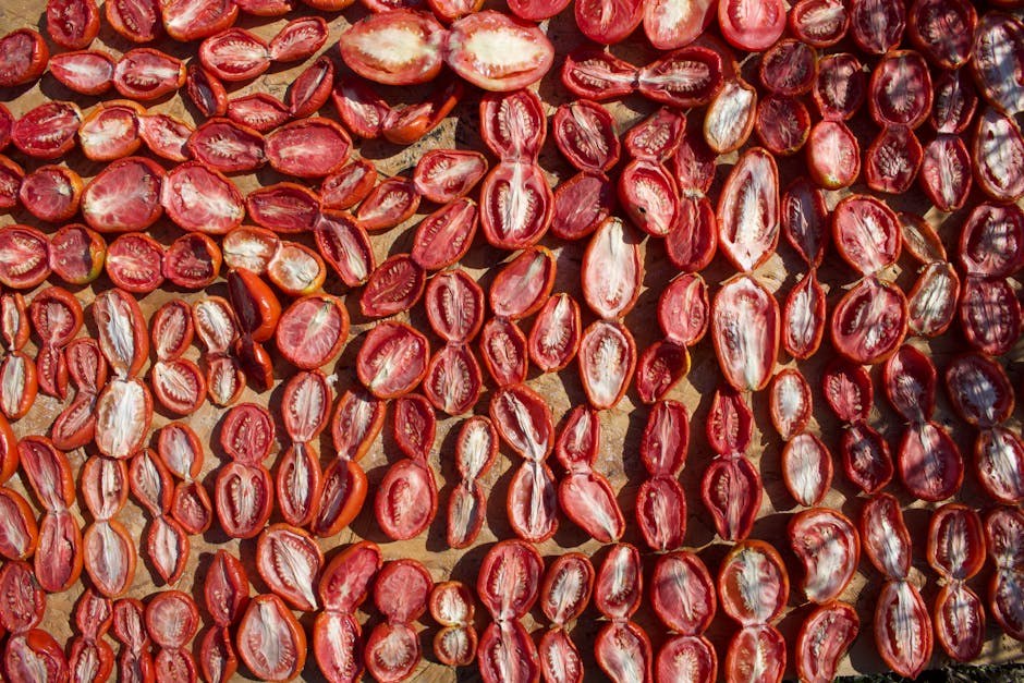 Glukozurija kod pasa: simptomi, uzroci i liječenje