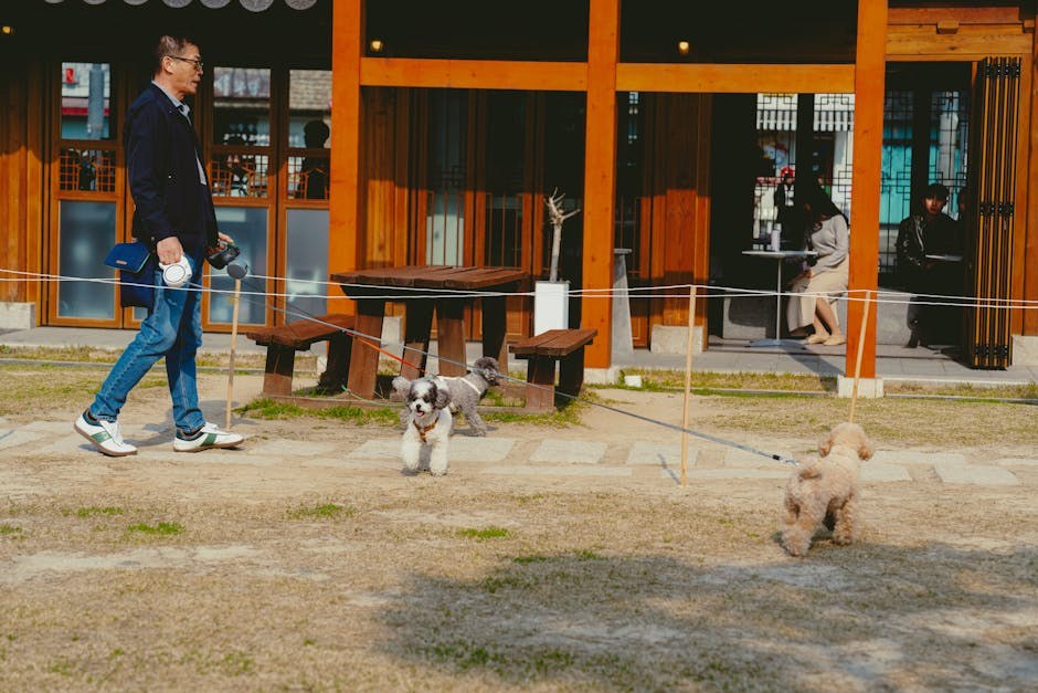 Glukozurija kod pasa: simptomi, uzroci i liječenje