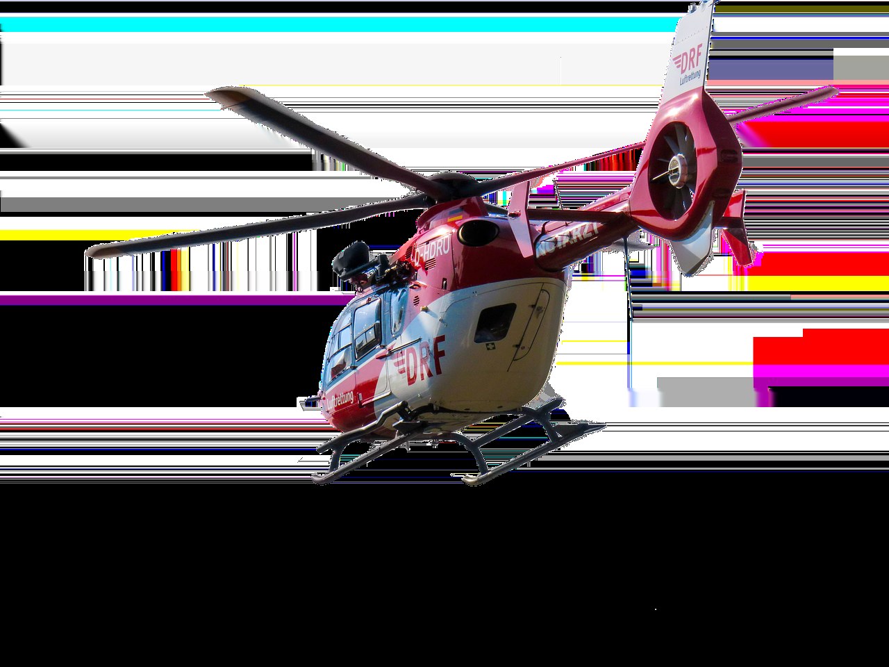 Smiju li psi jesti patlidžan i je li siguran za njih?