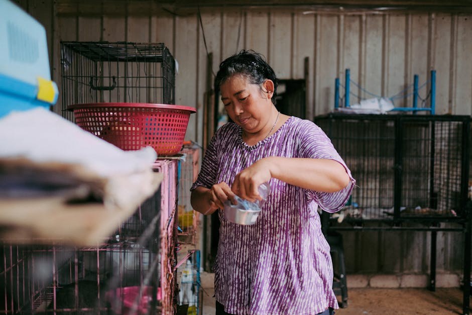 Sistemska hipertenzija kod pasa: simptomi, uzroci i liječenje