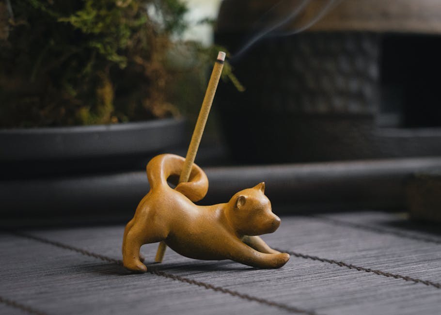 Briga za starijeg psa: što trebate znati