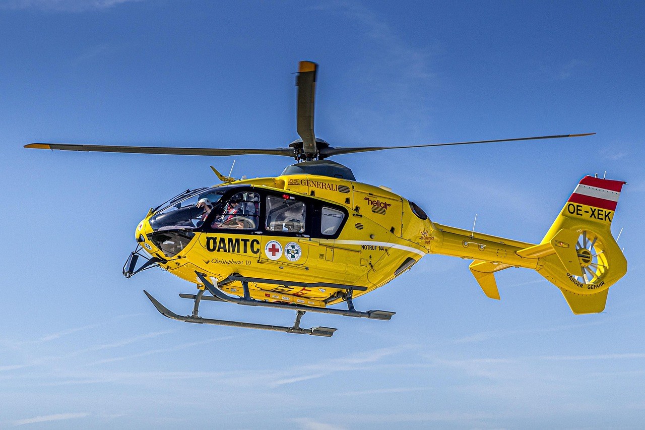 Katarakta kod pasa: simptomi, uzroci i liječenje