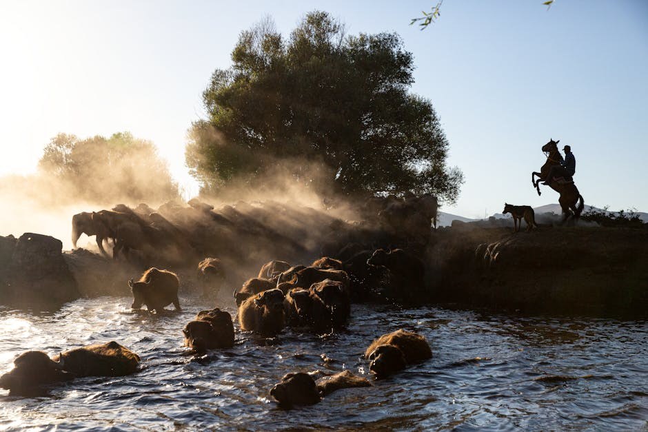 Hornerov sindrom kod pasa: simptomi, uzroci i liječenje