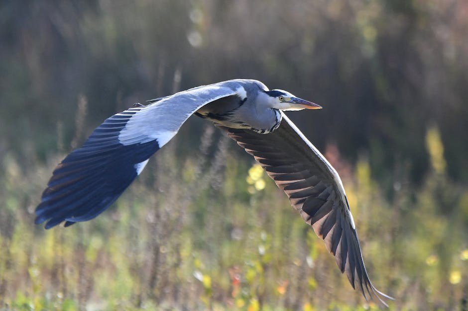 Smiju li psi piti sojino mlijeko - je li napitak siguran?