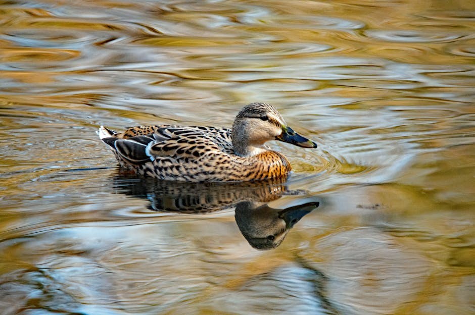 Opstrukcija crijeva kod pasa: simptomi, uzroci i liječenje