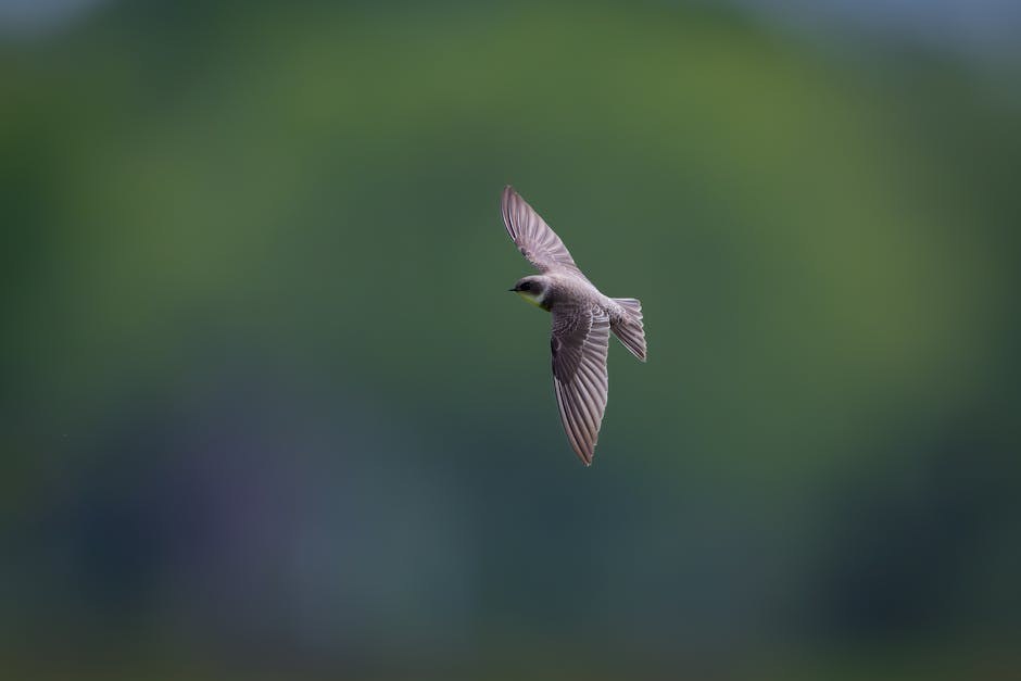 Opstrukcija crijeva kod pasa: simptomi, uzroci i liječenje