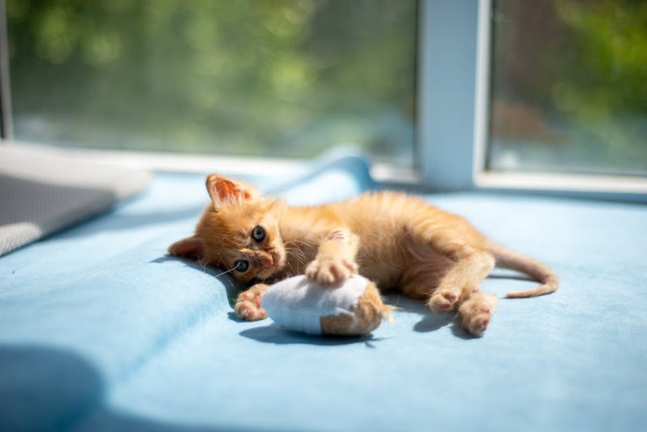 Mogu li psi jesti dugu mahunu? Je li sigurna za pse?