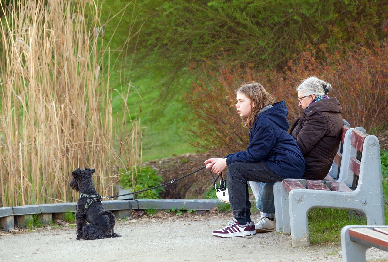Smiju li psi jesti mango i je li mango siguran za pse?