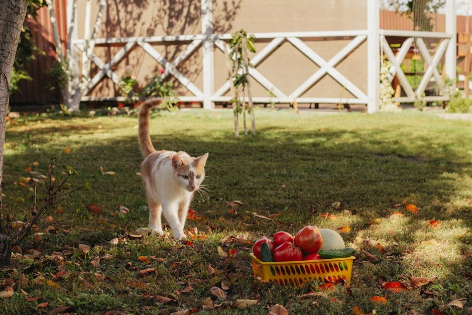 Smiju li psi jesti candy corn i je li siguran za pse?