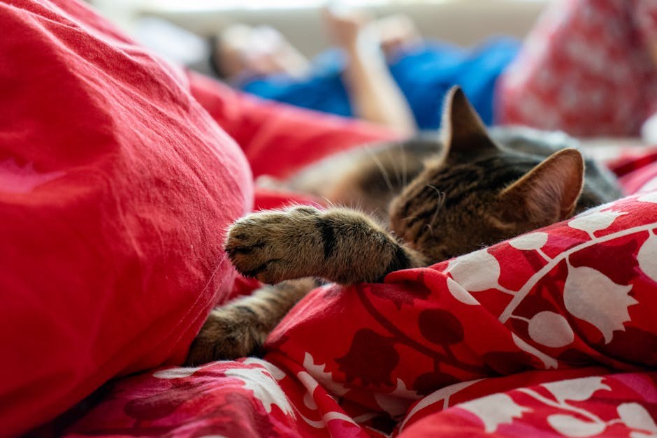 Smiju li psi jesti umak za barbecue i je li siguran?