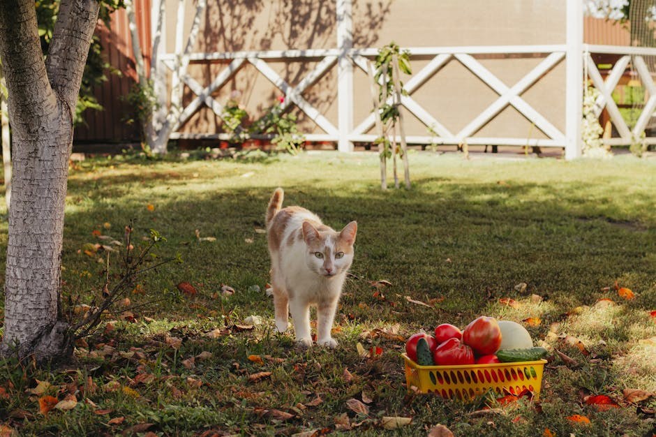 Smiju li psi jesti Combos? Jesu li ove grickalice sigurne za pse?