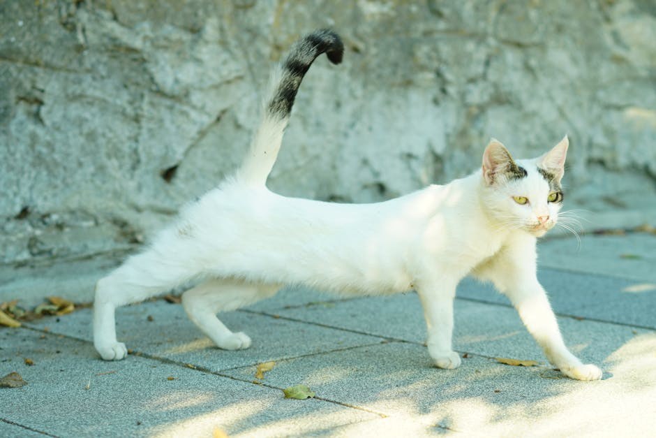 Smiju li psi jesti Combos? Jesu li ove grickalice sigurne za pse?