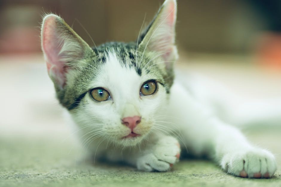 Smiju li psi jesti Combos? Jesu li ove grickalice sigurne za pse?