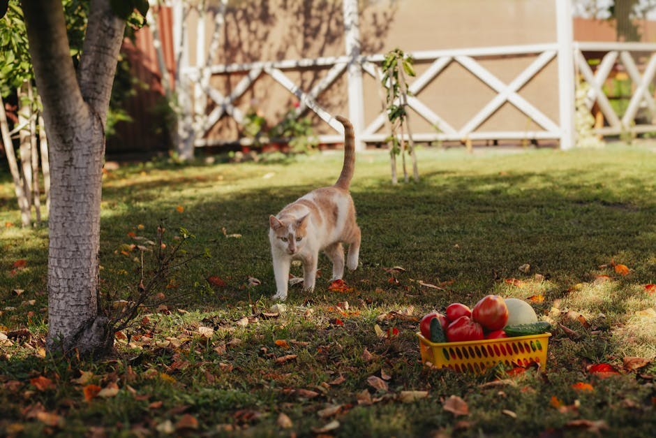 Mogu li psi jesti papriku? Je li paprika sigurna za pse?