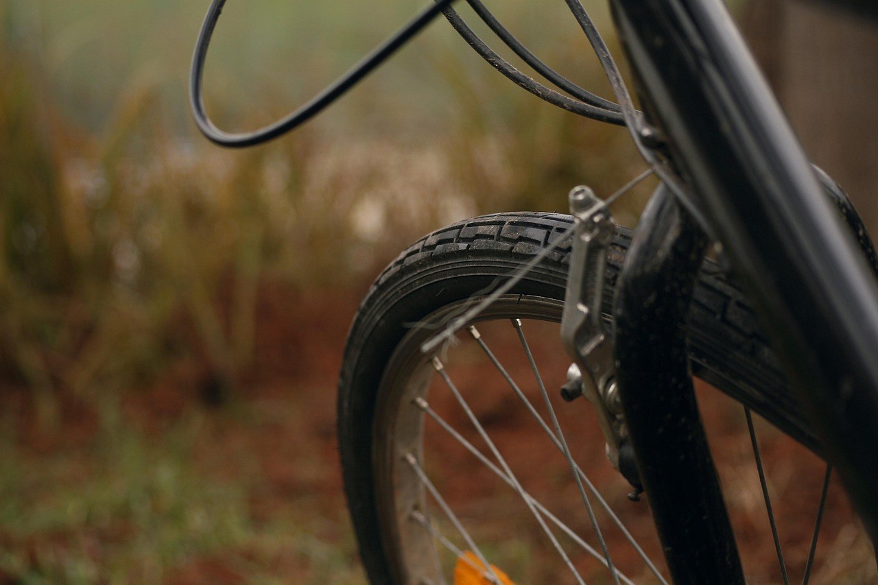 Smiju li psi jesti rotkvice - je li ova hrskava biljka sigurna za pse?