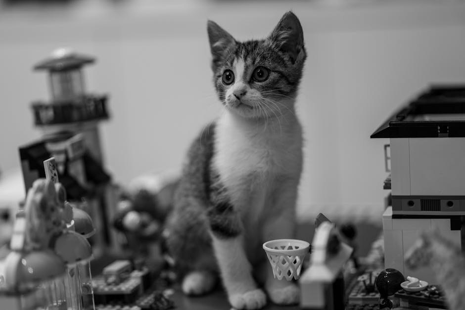 Smiju li psi jesti béarnaise umak i je li siguran za njih?