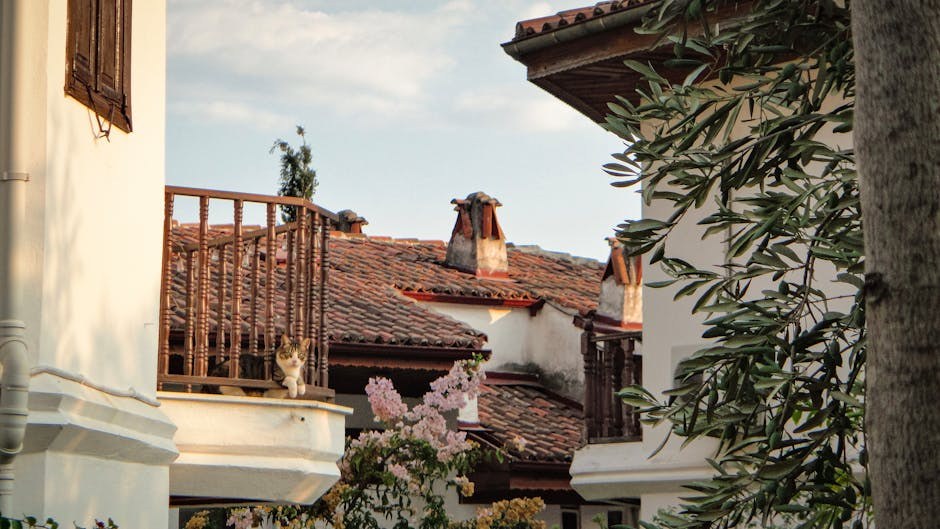 Smiju li psi jesti veggie burger i je li to sigurno?