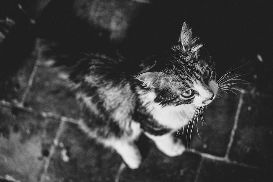 Smiju li psi jesti veggie burger i je li to sigurno?