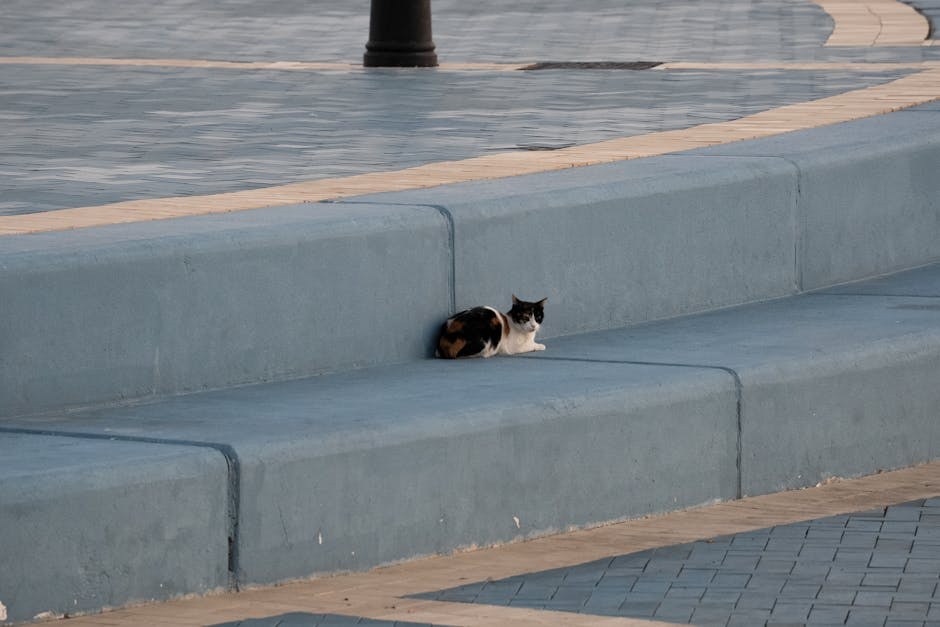 Mogu li psi jesti češnjakov kruh? Sigurnost za pse objašnjena
