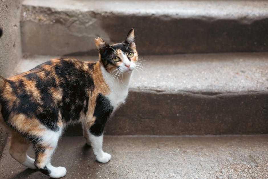 Mogu li psi jesti češnjakov kruh? Sigurnost za pse objašnjena