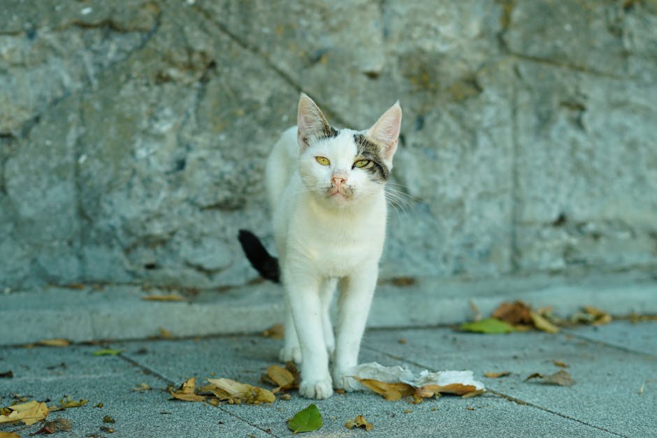 Smiju li psi jesti limunsku travu lemongrass i je li sigurna za pse?