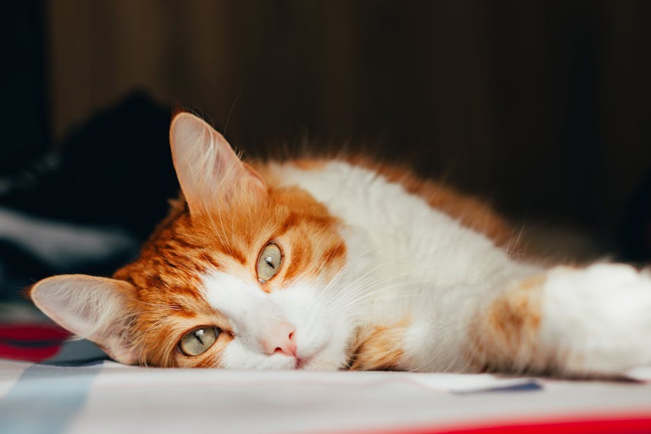 Smiju li psi jesti limunsku travu lemongrass i je li sigurna za pse?