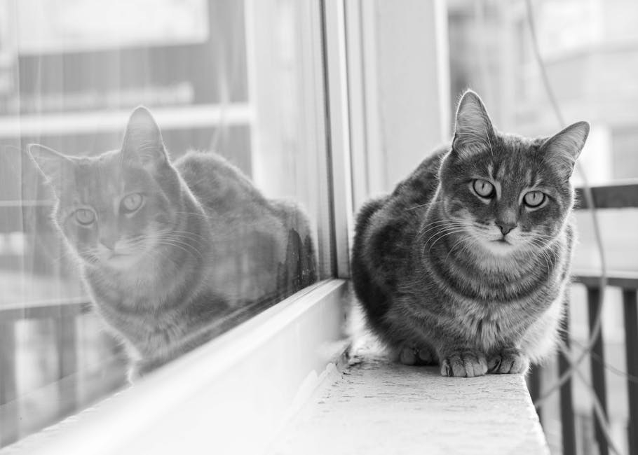 Smiju li psi jesti pizzu i je li to sigurno?