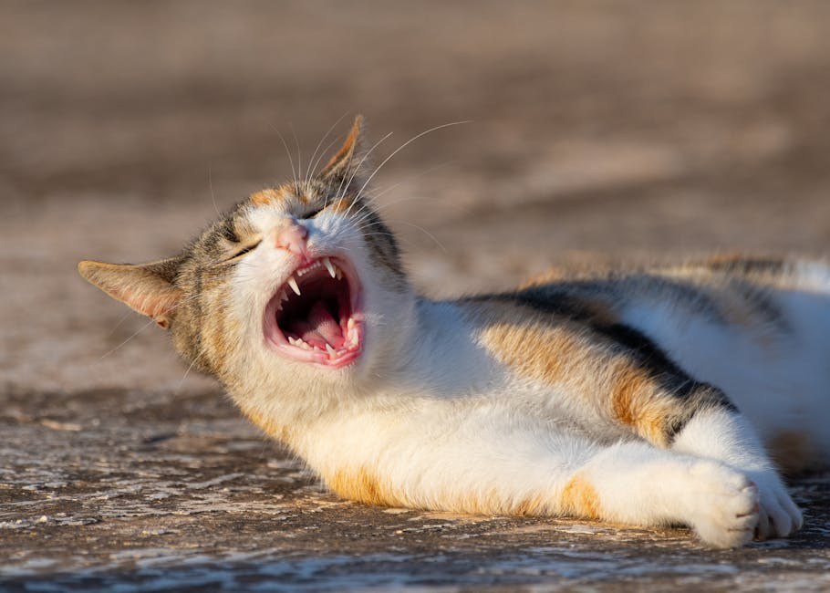Smiju li psi jesti sunflower seeds i jesu li sigurne?