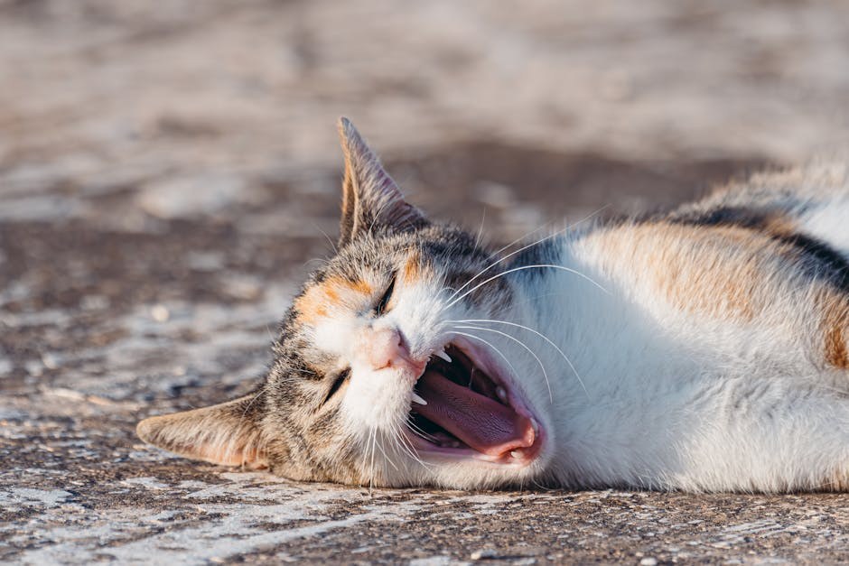 Smiju li psi jesti sunflower seeds i jesu li sigurne?