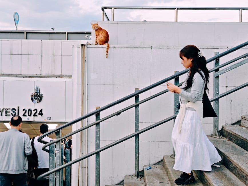 Smiju li psi jesti grits - jesu li sigurne za pse?