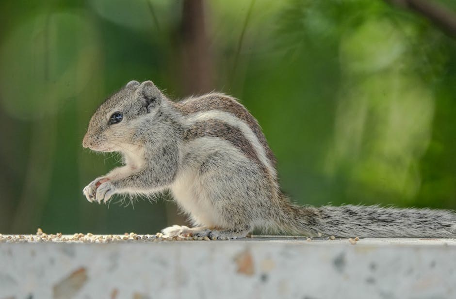 Kontrola krpelja kod pasa: tretmani, prevencija i kada posjetiti veterinara