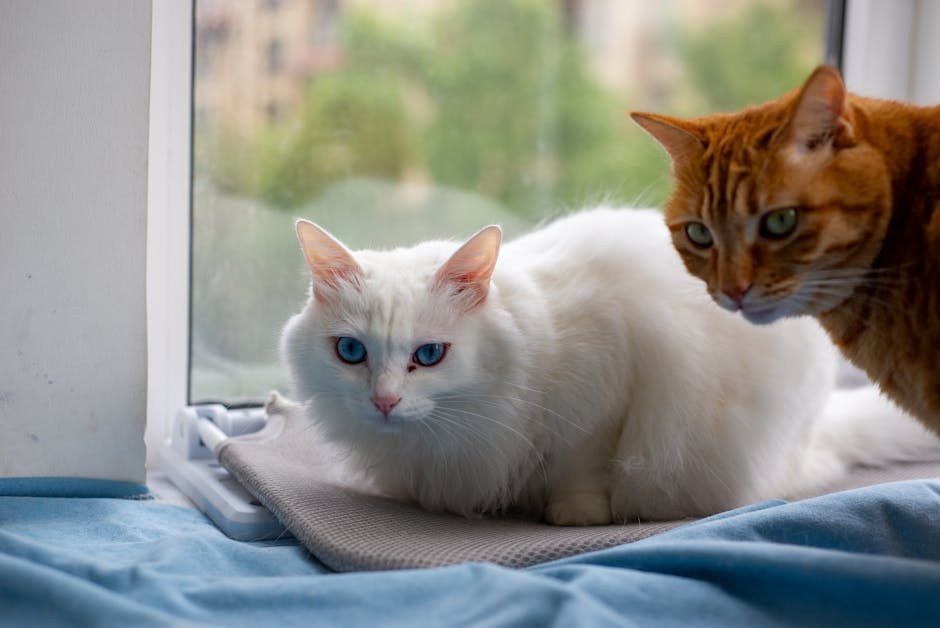 Kontrola krpelja kod pasa: tretmani, prevencija i kada posjetiti veterinara