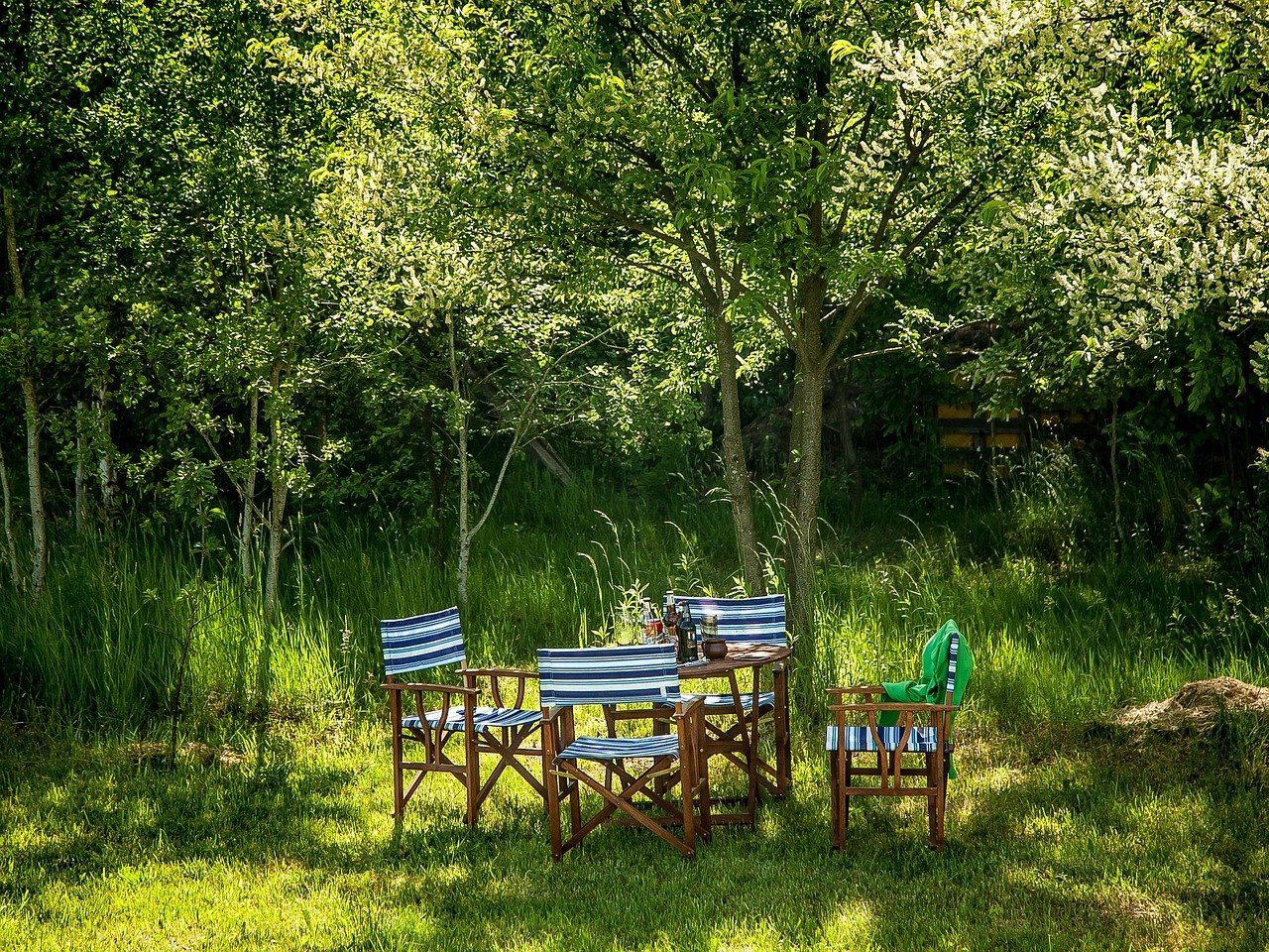 Smiju li psi jesti pistacije i koliko su sigurne?