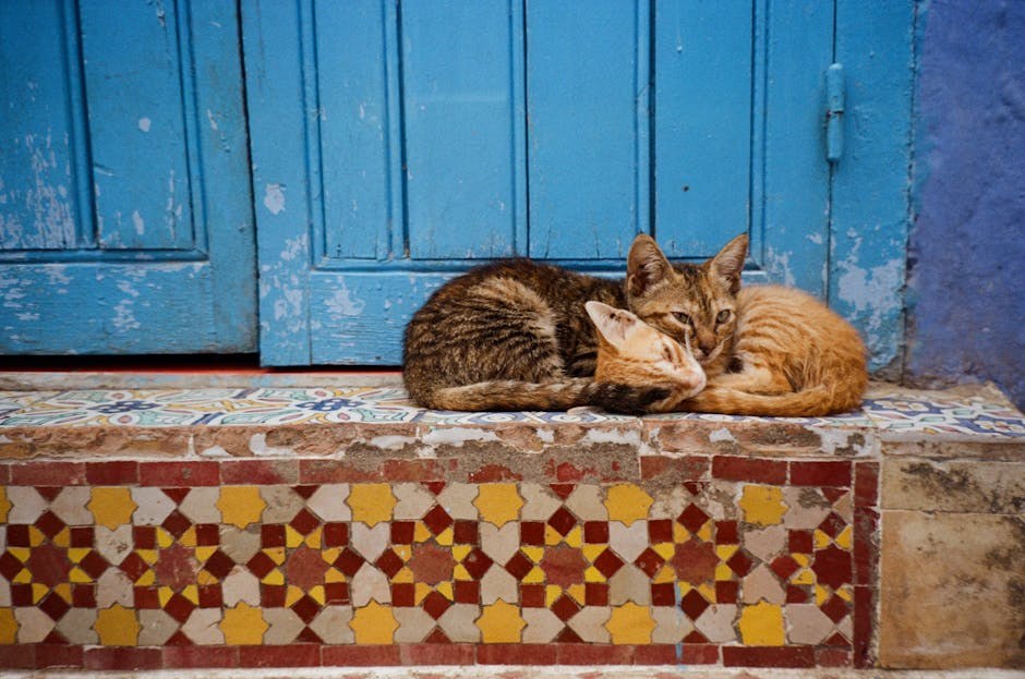 Mogu li psi jesti lavandu? Je li lavanda sigurna za pse?