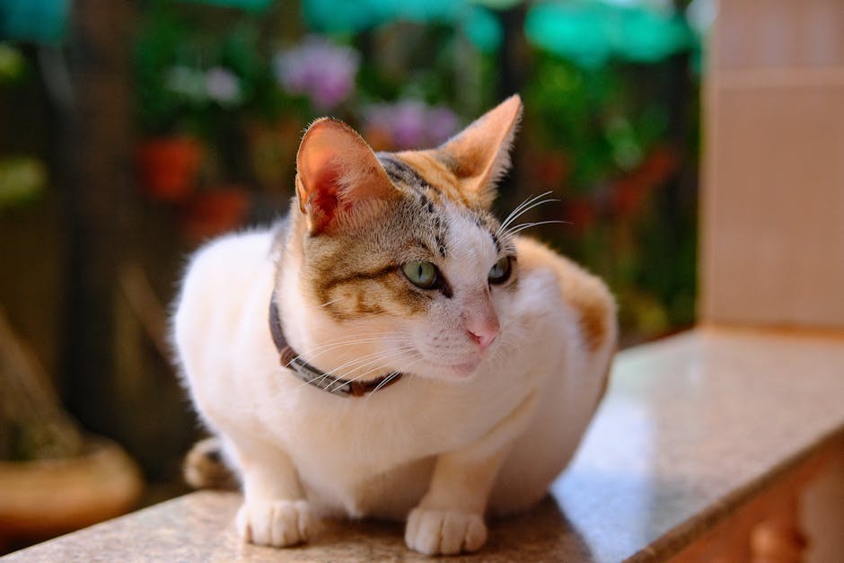 Alergije kod pasa: najčešće vrste i što poduzeti