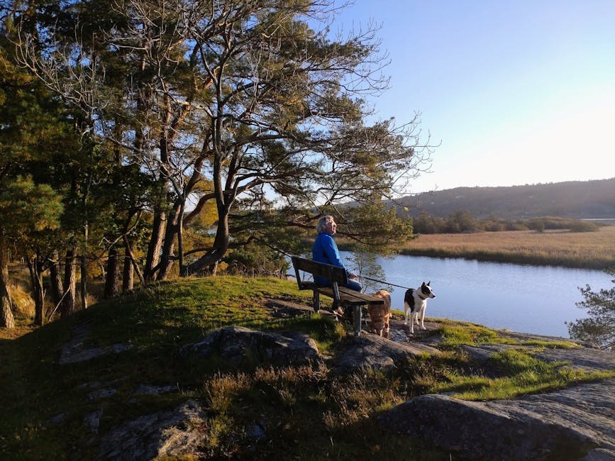 Alergije kod pasa: najčešće vrste i što poduzeti