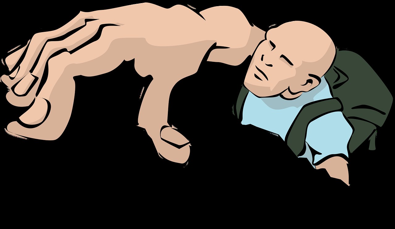 Mogu li psi jesti raspberries ? Jesu li maline sigurne