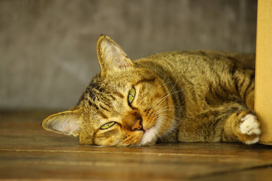 Smiju li psi jesti školjkaše? Jesu li školjkaši sigurni za pse?