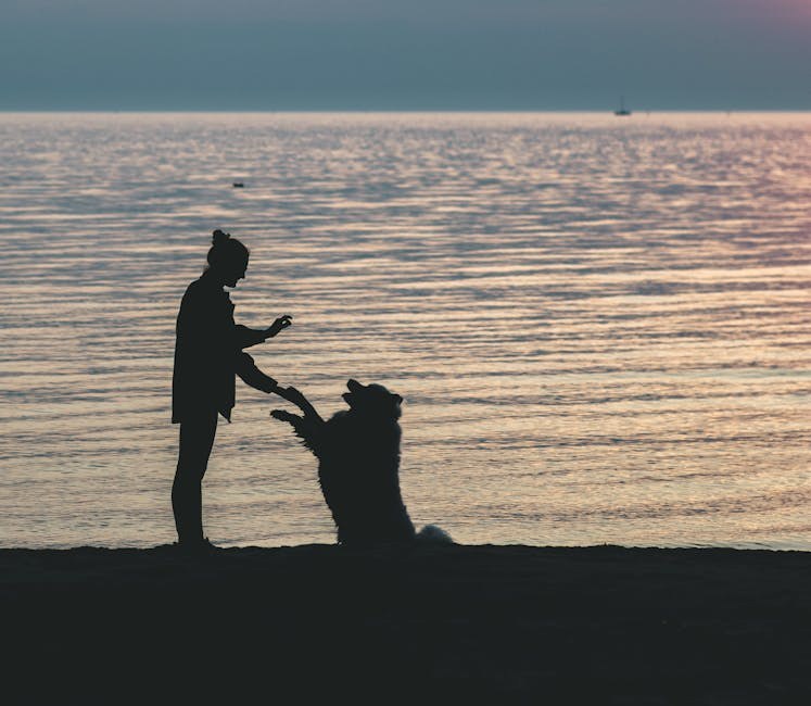 Smiju li psi jesti sladić? Je li ova poslastica sigurna za pse?