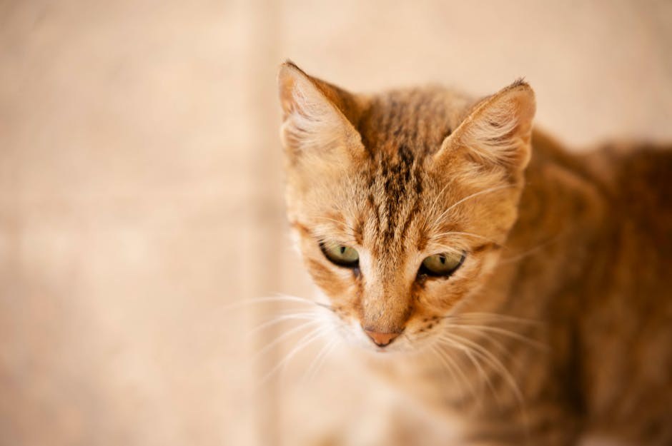 Smiju li psi jesti pastrnjak? Je li ova korjenasta namirnica sigurna za pse?