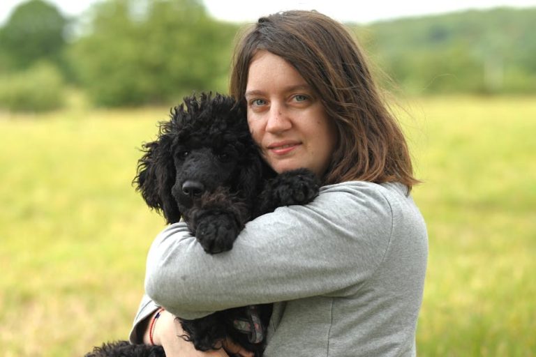 Čir na želucu kod pasa: simptomi, uzroci i liječenje