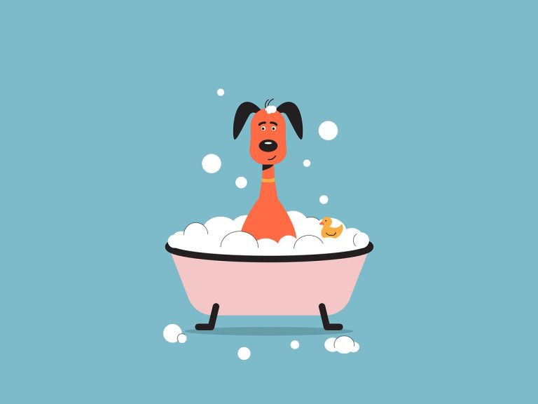 Smiju li psi jesti meso morskog psa? Je li sigurno za pse?