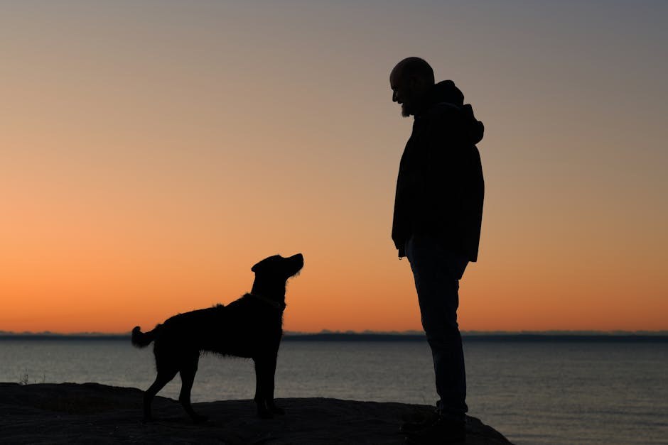 Alergije oka kod pasa: simptomi, uzroci i liječenje