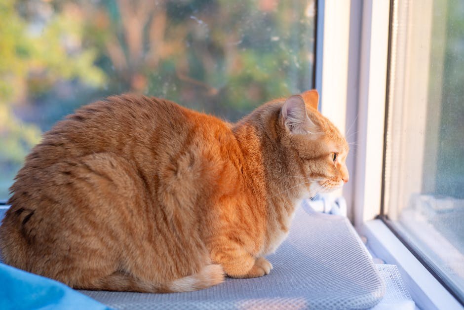 Smiju li psi jesti pinto grah? Je li pinto grah siguran za pse?