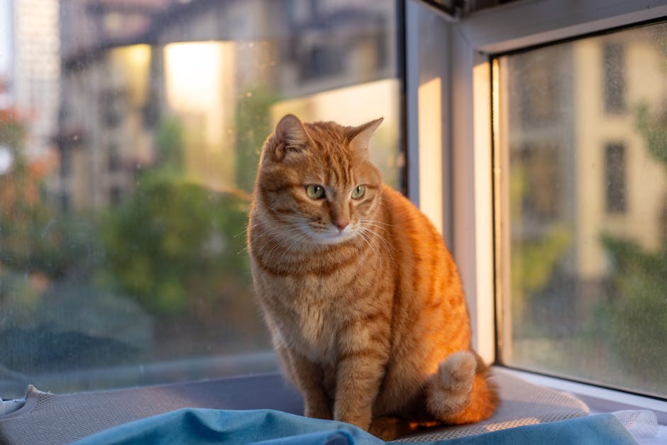 Smiju li psi jesti ginger ? Je li đumbir siguran za pse?