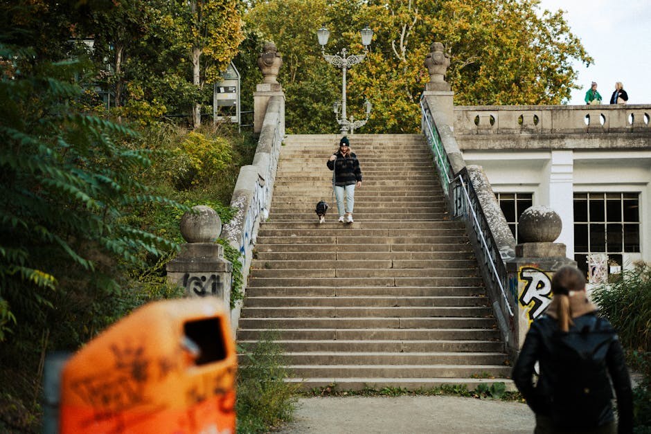 Lajmska bolest kod pasa: simptomi, uzroci i liječenje